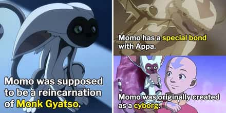 12 Things We Didn't Know About Momo From 'Avatar: The Last Airbender'