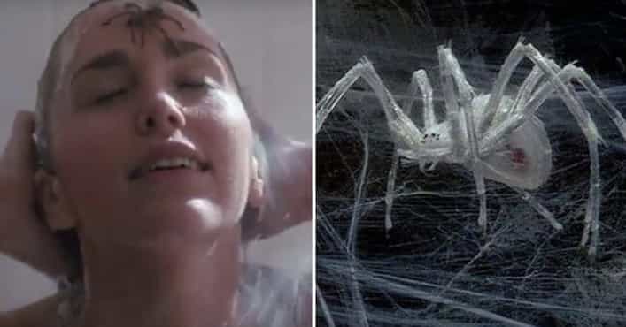 Terrifying Spider Scenes In Movies