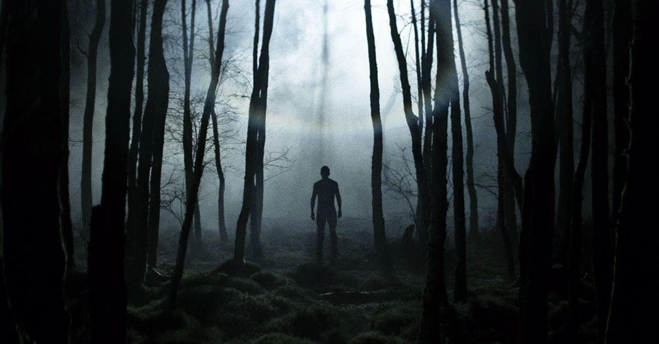 People Who Swear They Encountered Cryptids, Aliens, Or Other Strange