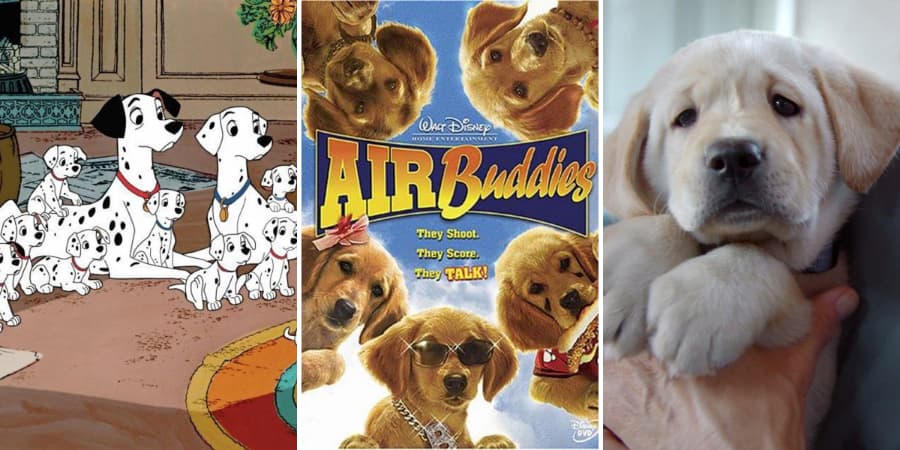 The 25 Best Movies With Puppies, Ranked By Fans