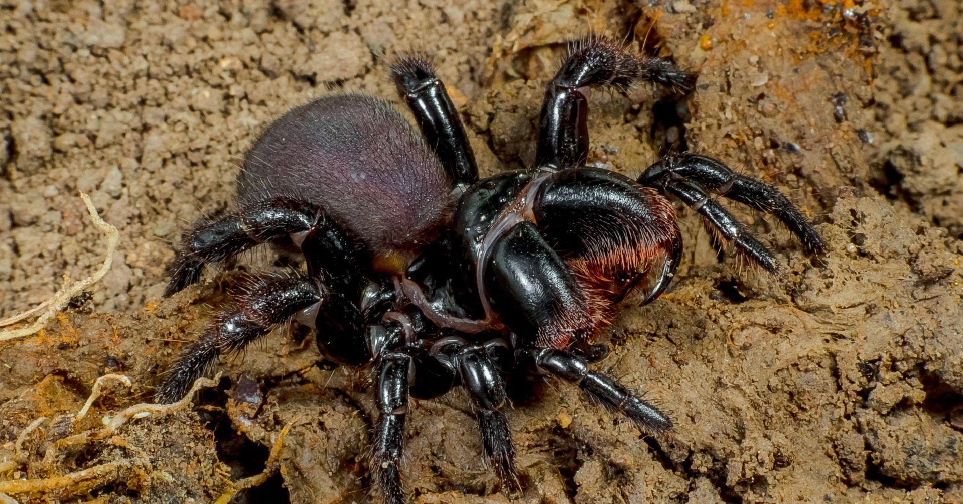 Common Myths About Other Countries That Are Verifiably False