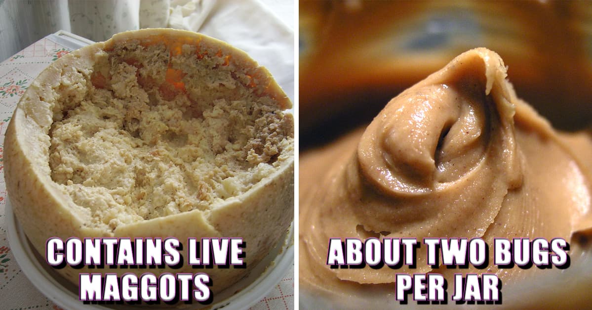 21 Food Facts You Will Immediately Regret Learning