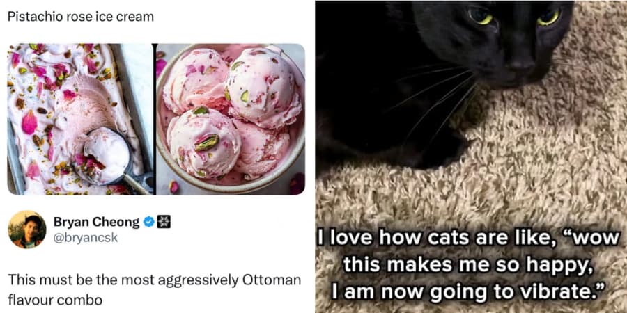 Hilarious Times People Posted Something Pretty Wild This Week (And Got Away With It)