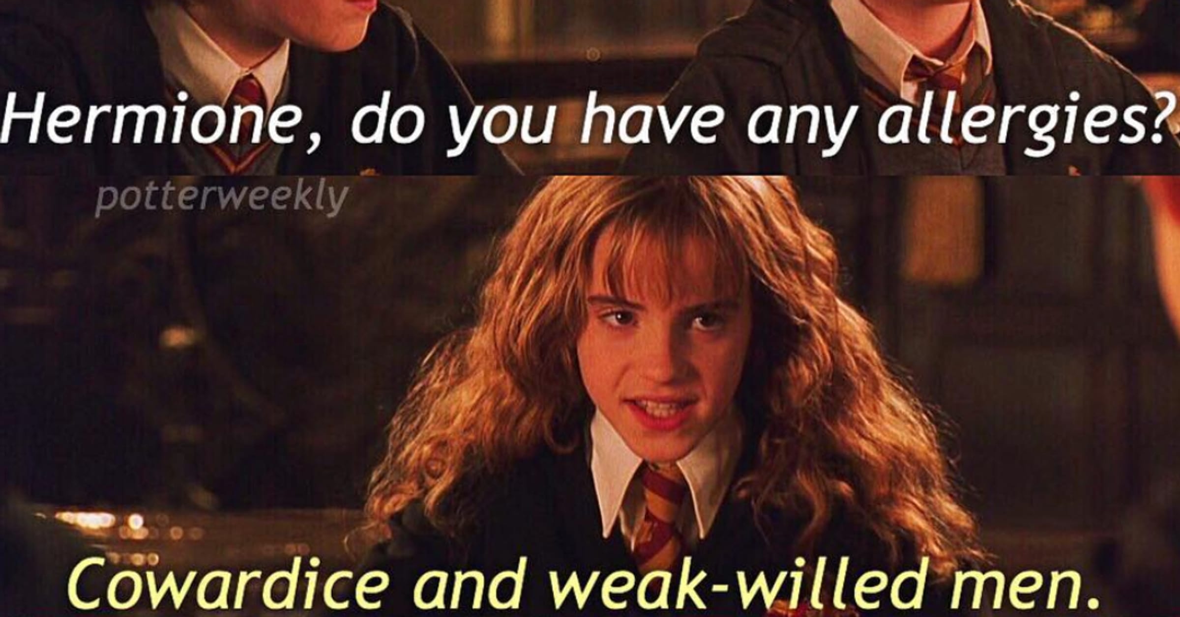 Harry Potter: 10 Memes That Hermione Granger Fans Will Love  Harry potter  cast, Harry and hermione, Harry potter headcannons
