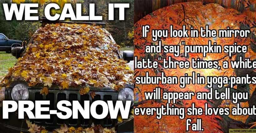 Fall Memes To Get You Ready For The Season
