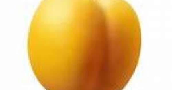 High Fiber Foods | Fiber For A Healthy Diet