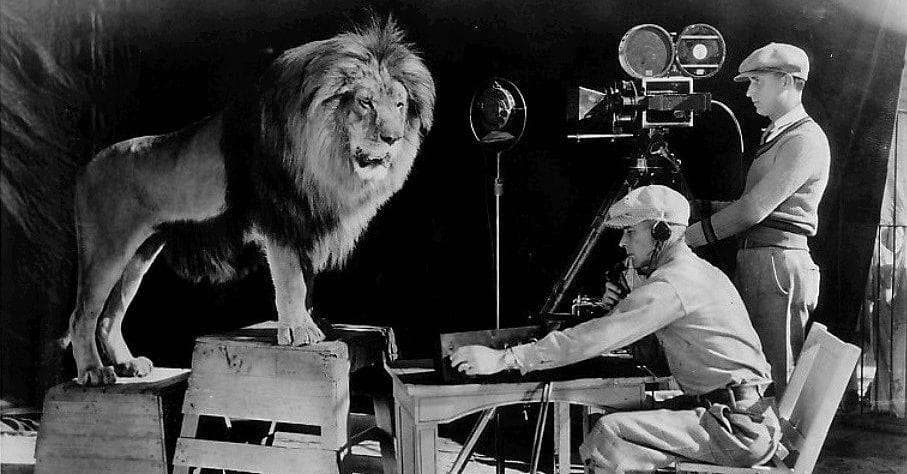 The Surreal History Of The MGM Lions