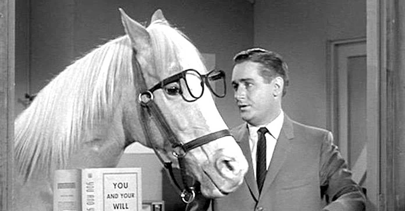 The Crazy History Of Mr. Ed The Horse