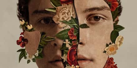 The Best Shawn Mendes Albums, Ranked