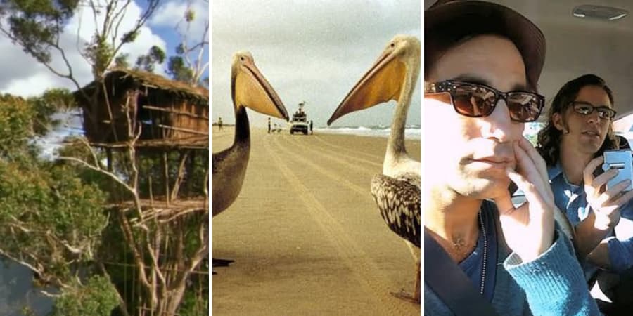 Documentaries Accused Of Staging Or Faking Scenes