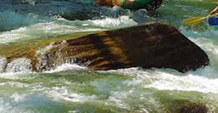 Best River Rafting in America