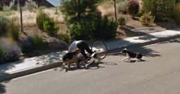 Embarrassing Moments Caught On Google Street View
