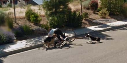 Embarrassing Moments Caught On Google Street View