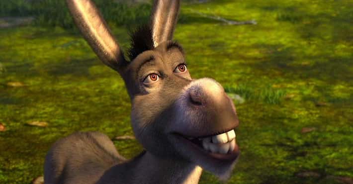 Good Theories About Donkey