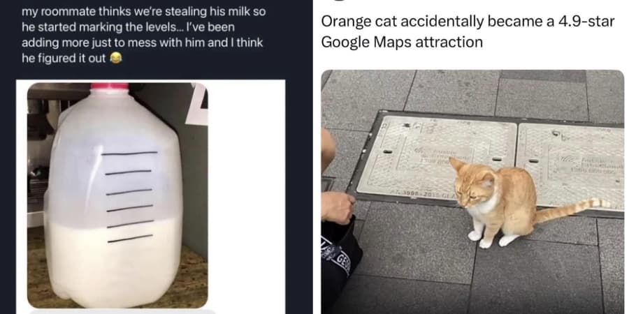 Hilarious Times People Posted Something Pretty Wild This Week (And Got Away With It)