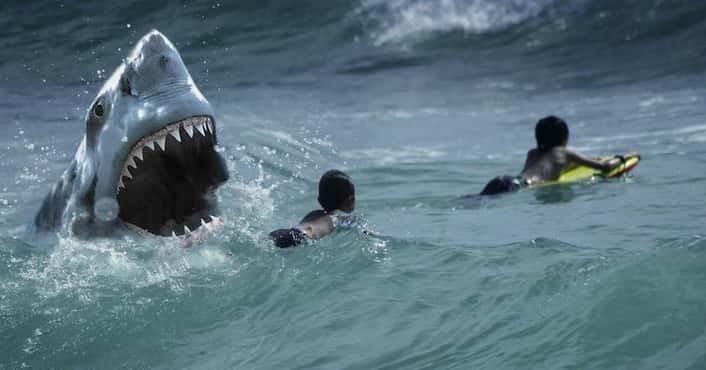 What It's Like to Be Hurt by a Shark