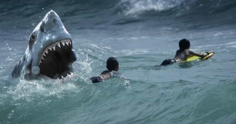 What Its Like To Be Attacked By A Shark