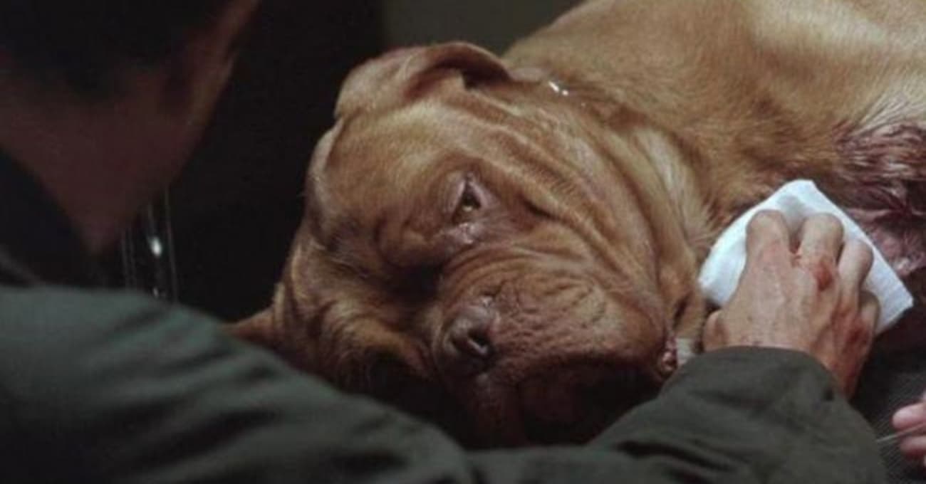 Unexpectedly Dark Scenes In Otherwise Lighthearted Movies