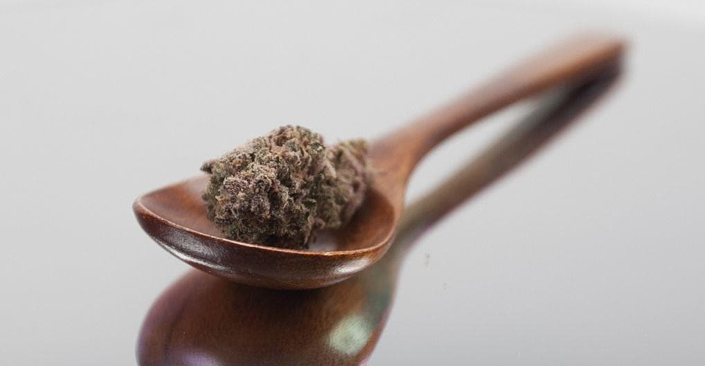 Which Cannabis Strain Pairs Best With Your Zodiac Sign?