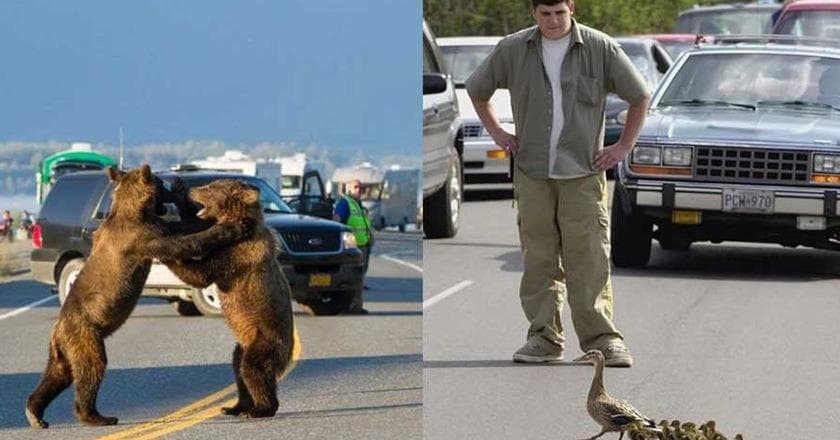 21 Hilarious Traffic Jam Photos That Make Traffic Funny