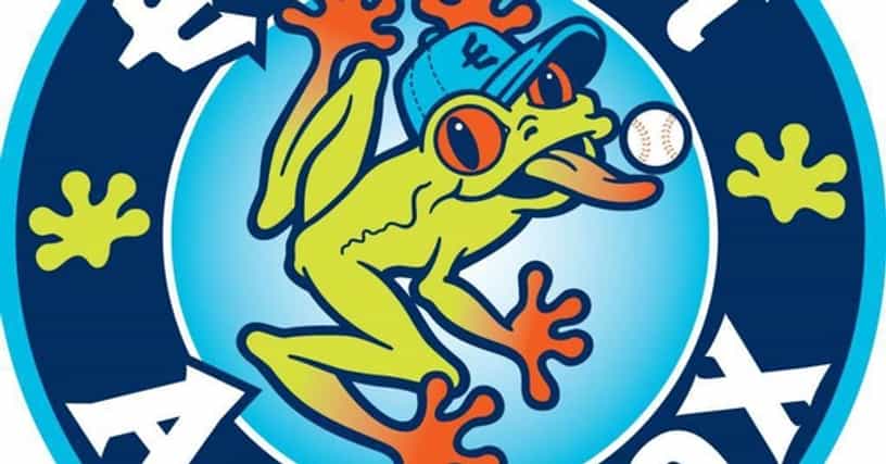 The Birdist: Grading Bird-themed Minor League Baseball Teams