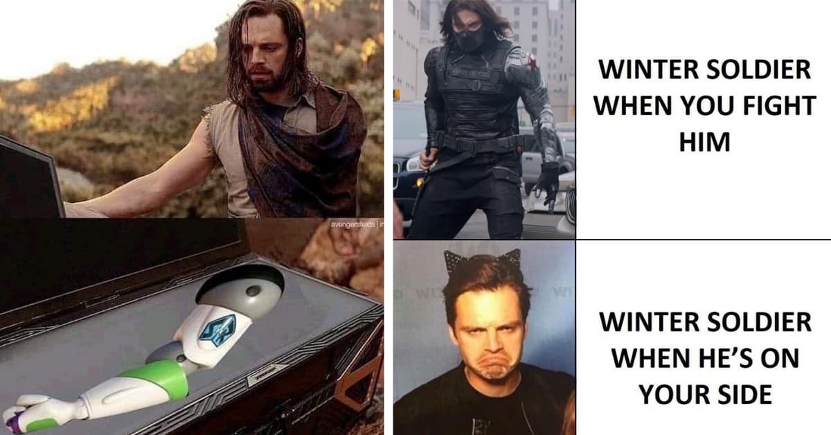 23 Funny Winter Soldier Memes That Would Make The Falcon Laugh
