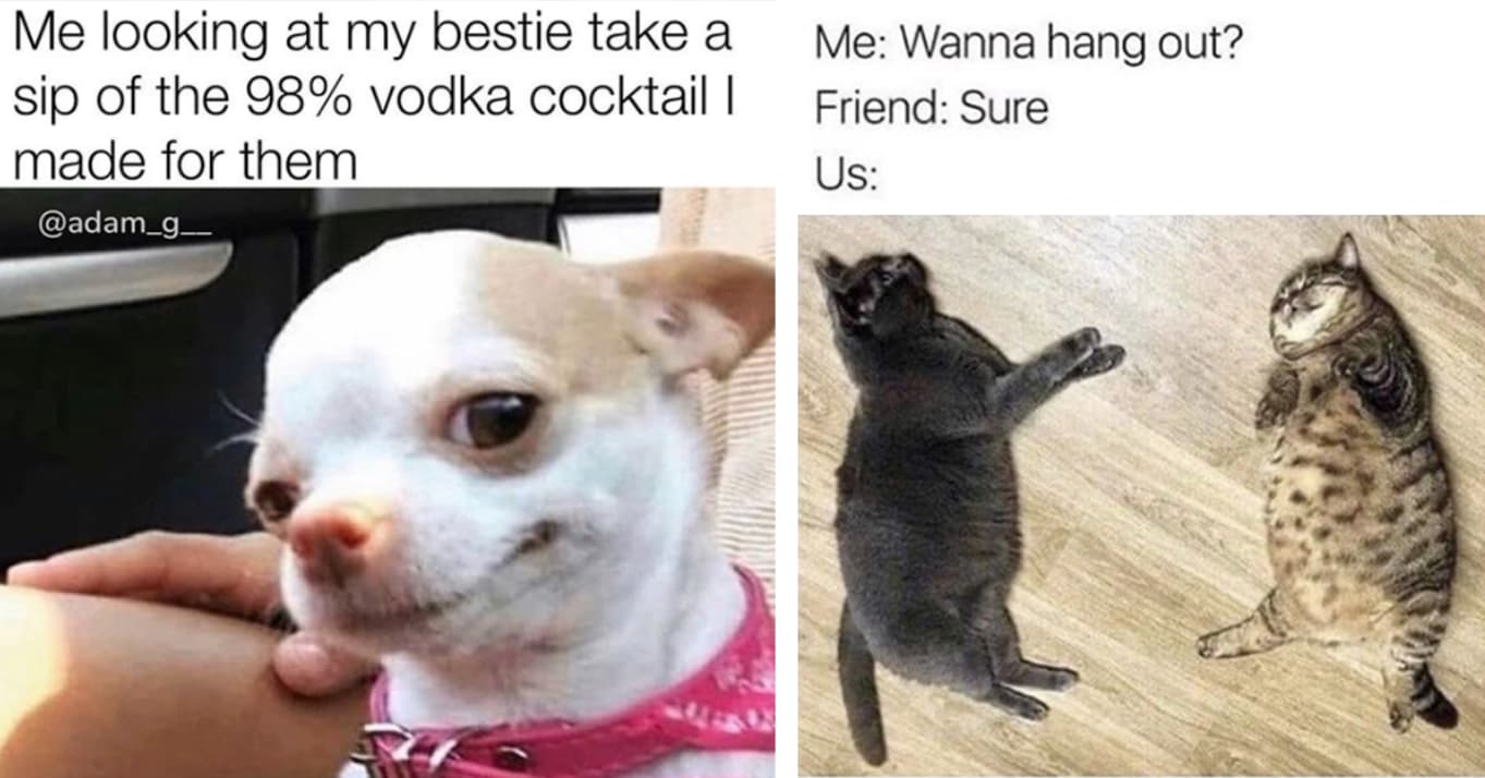 26 Memes That Only Best Friends Can Relate To