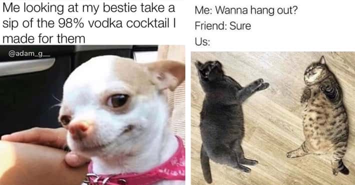 Send These Memes to Your Bestie