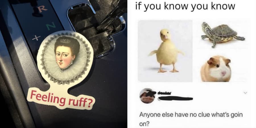 Confusing Posts That Needed Someone To Explain The Joke This Week