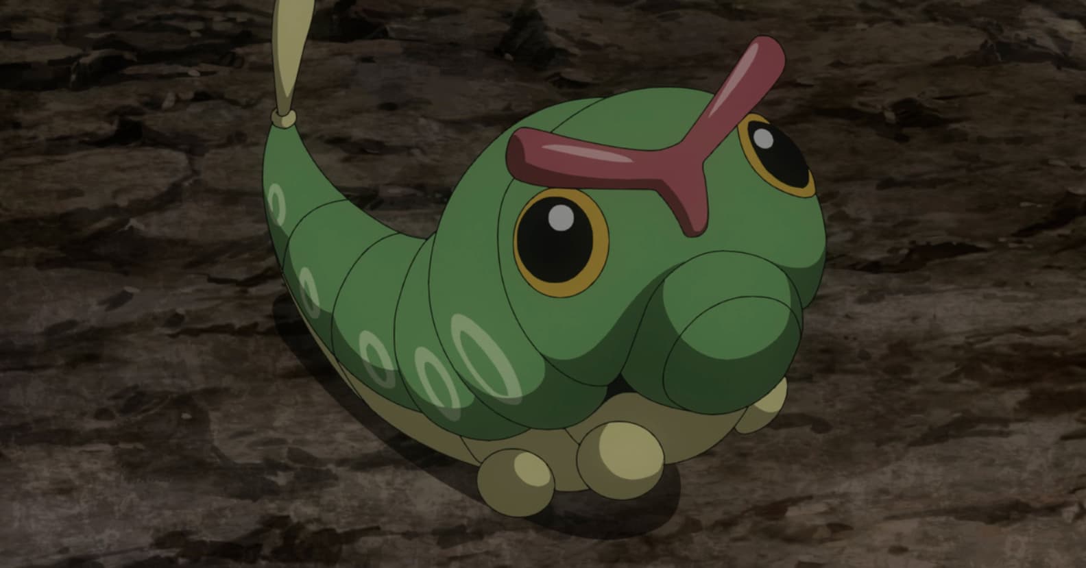Caterpillar pokemon shop