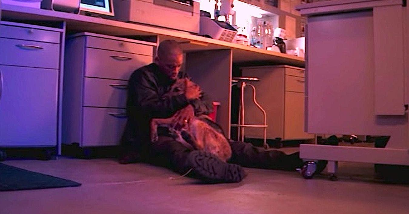 16 Surprisingly Sad Moments In 2000s Action Movies