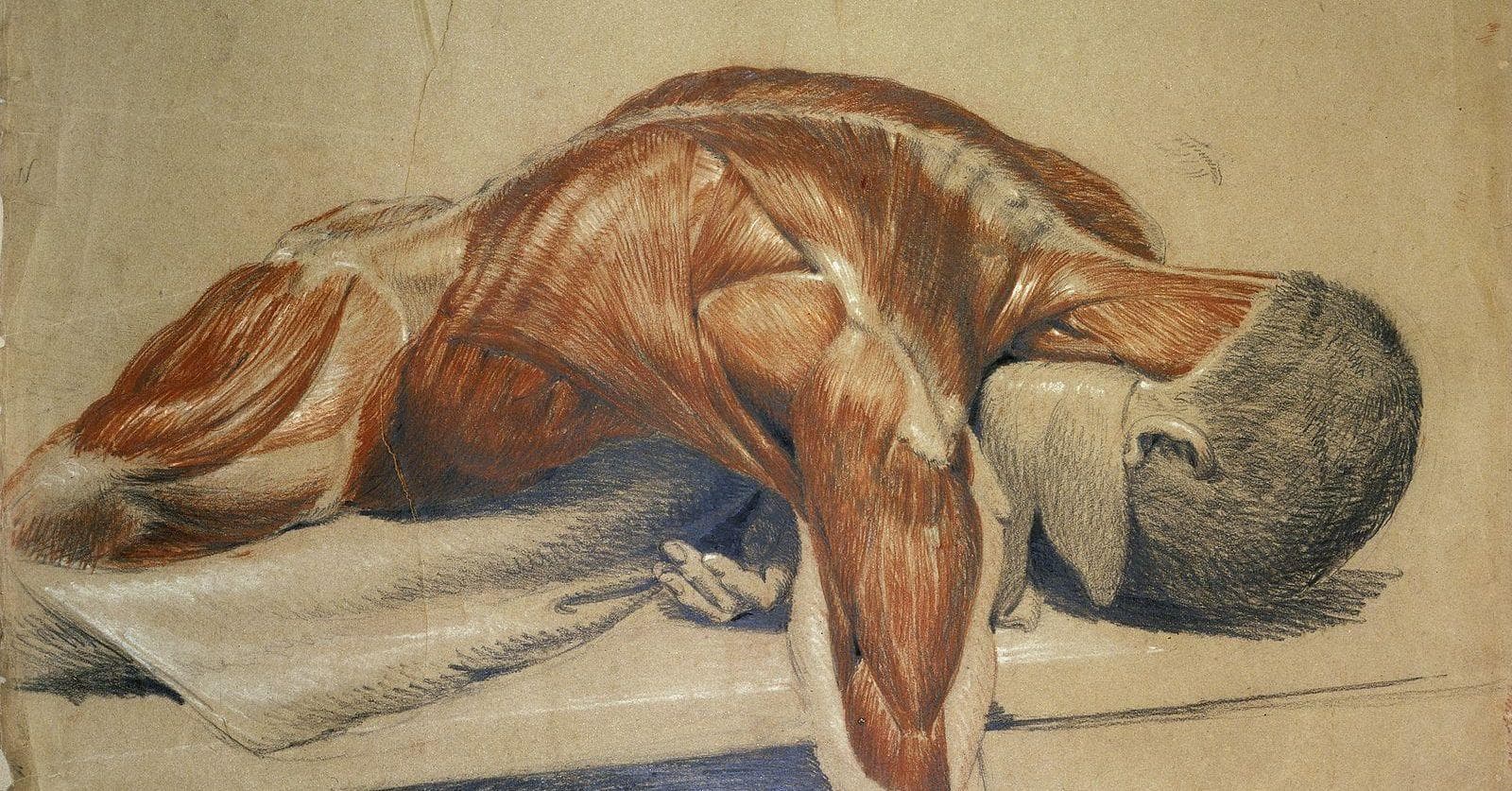 What It's Like To Be Skinned Alive