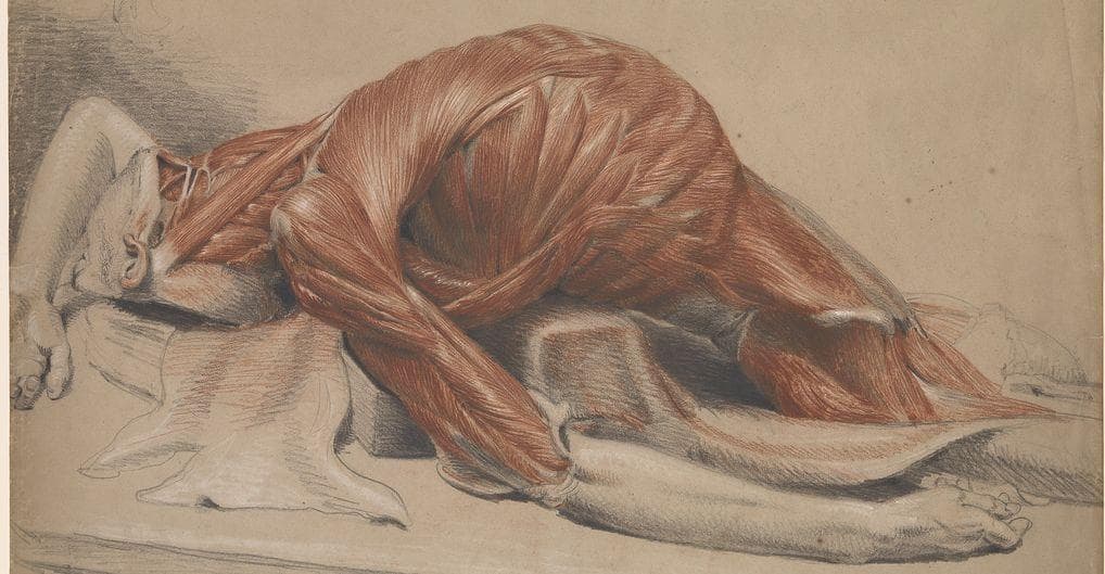 What It S Like To Be Skinned Alive