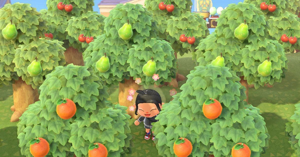 The Best Types Of Fruit In 'Animal Crossing New Horizons'