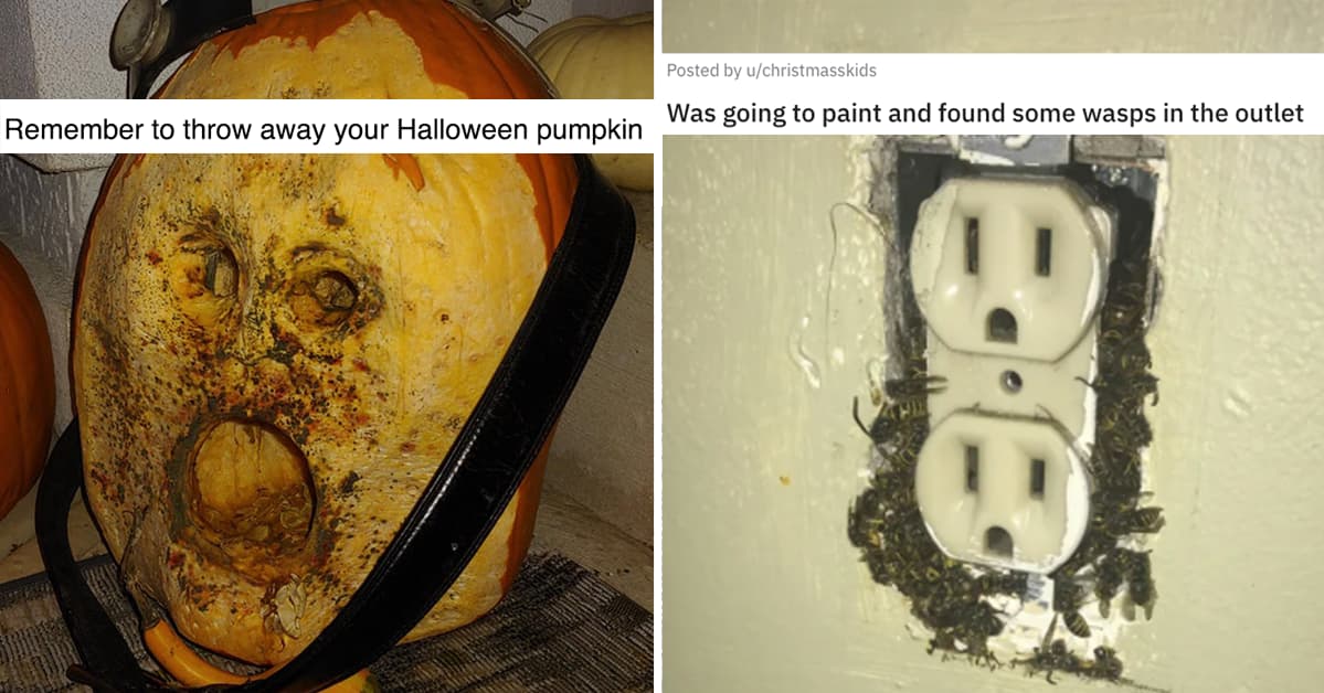 Oddly Terrifying Images We Found This Week That Gave Us The Creeps