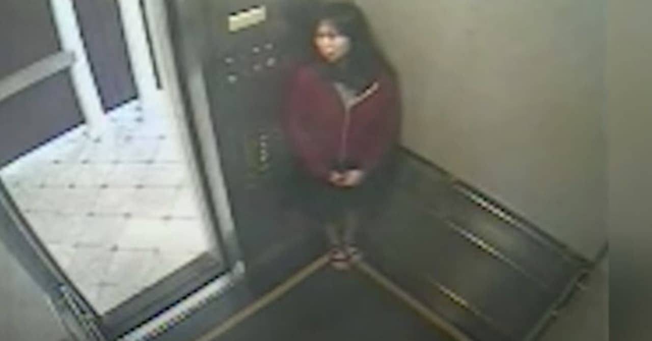 the elisa lam video does little to explain her death