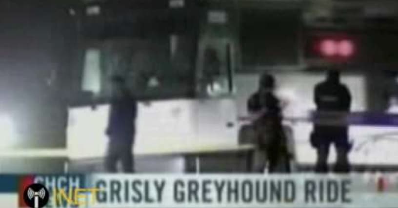 tim mclean greyhound