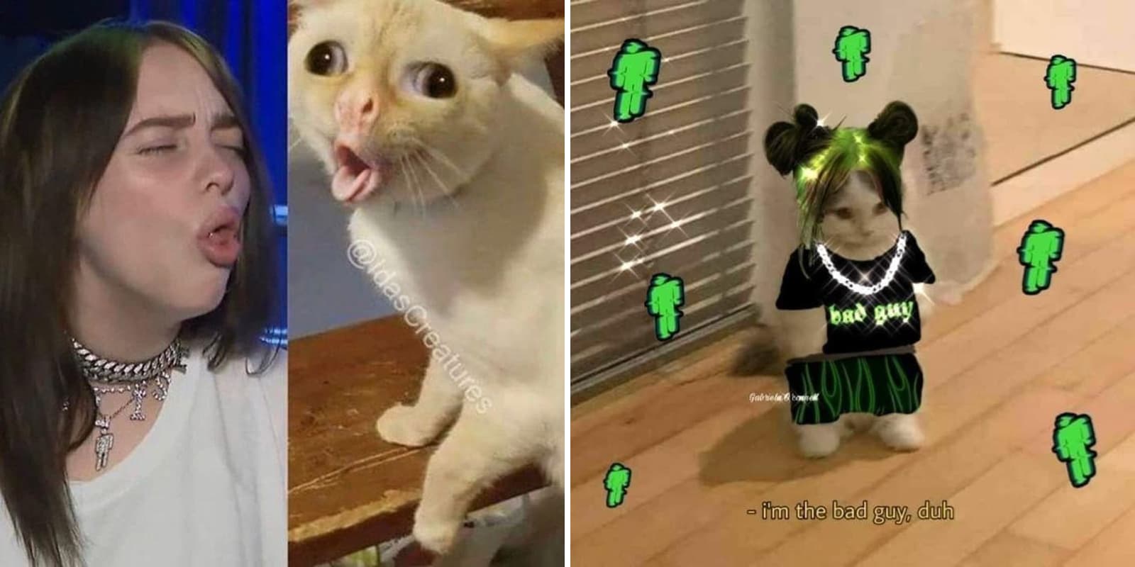 The 25 Funniest Billie Eilish Memes That Will Make You Laugh