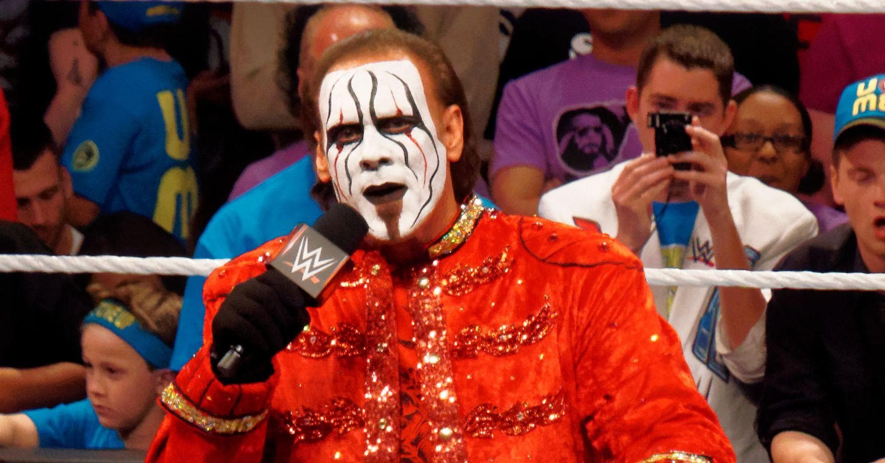 wwe sting mask