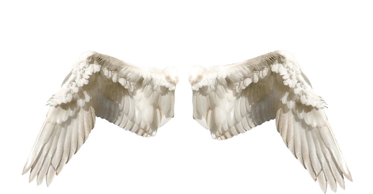 Winged tale. Крылья ангела. Белые Крылья. Крылья на прозрачном фоне. Крылья ангела на прозрачном фоне.