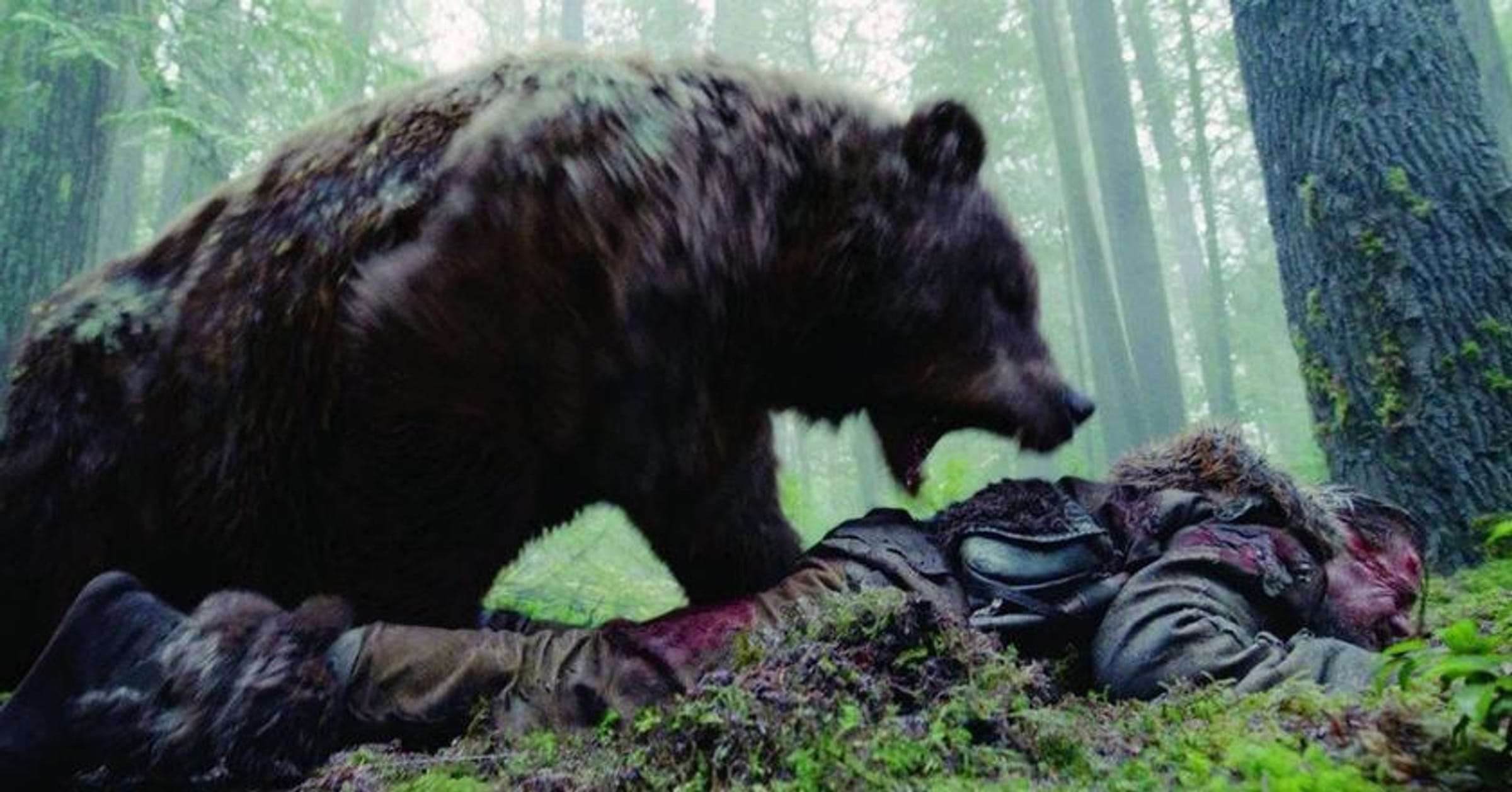 Understanding the Psychology of a Bear Attack