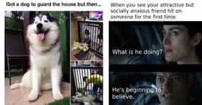 Wallpaper 43 Wholesome Memes That Are Actually Funny For iPhone