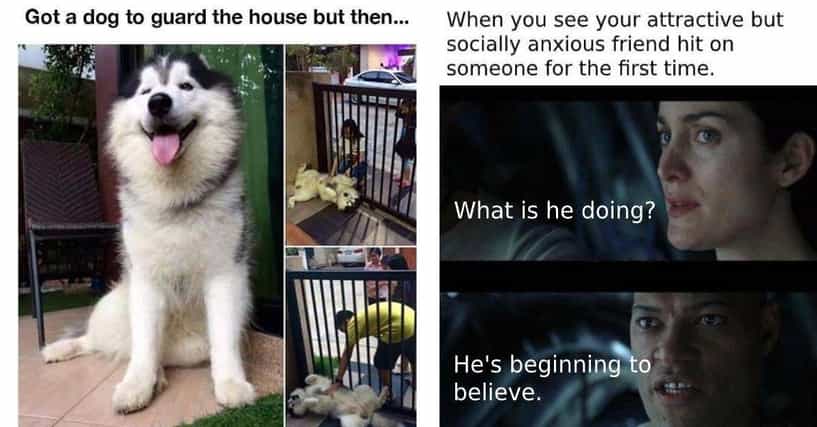 43 Wholesome Memes That Are Actually Funny