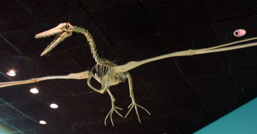 dead space 2 extinct animals