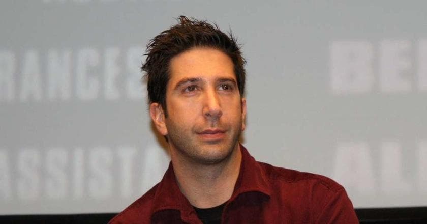 The 25 Best Movies With David Schwimmer, Ranked By Fans