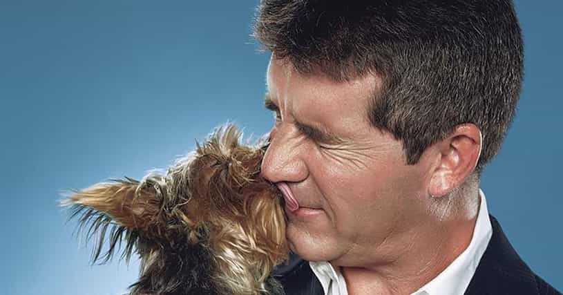 Simon Cowell, Biography, TV Shows, & Facts