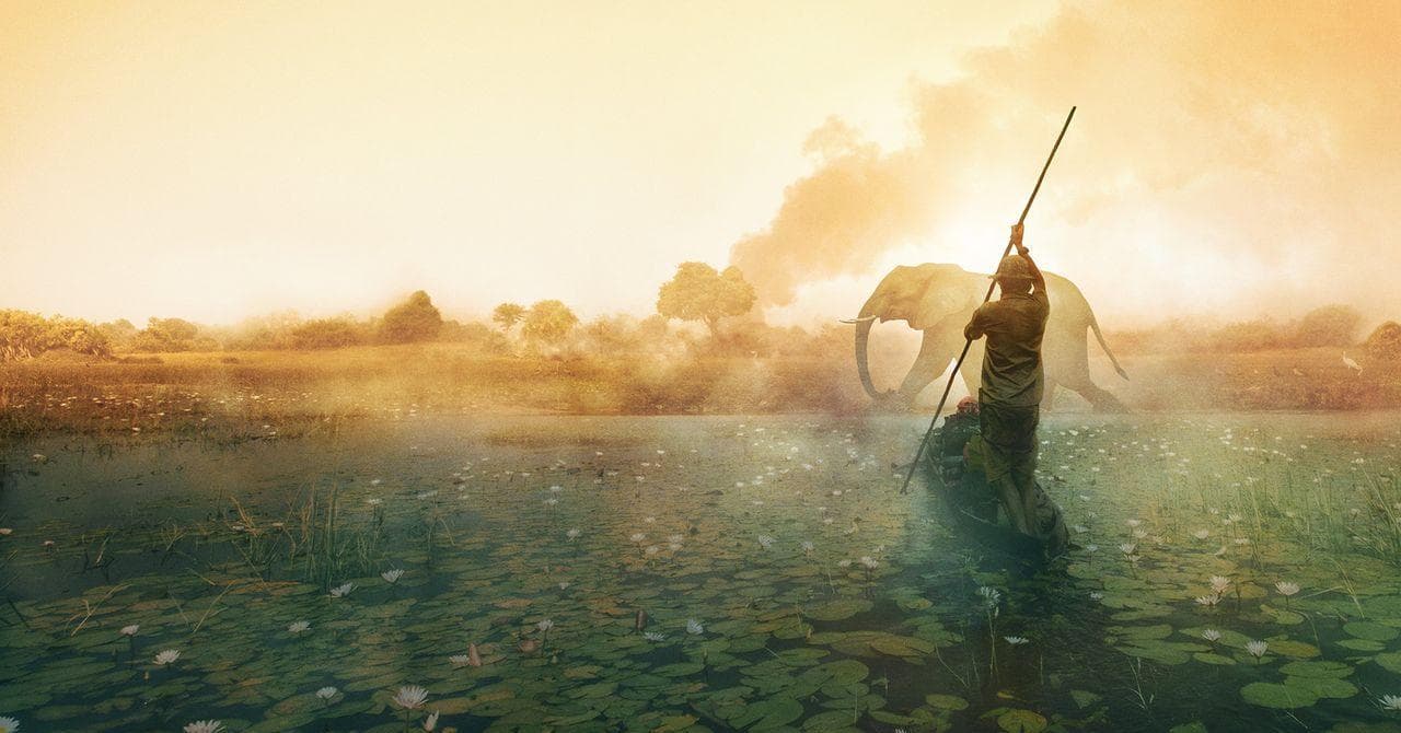 The 15 Best National Geographic Documentaries, Ranked