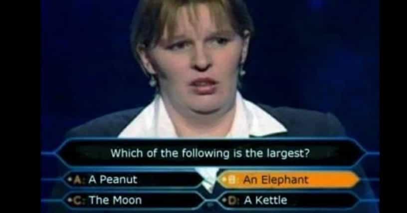 the-greatest-who-wants-to-be-a-millionaire-fails-ever-u2