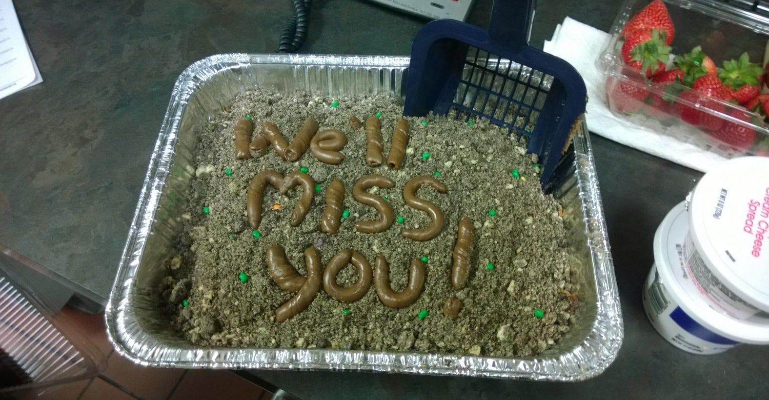 https://imgix.ranker.com/list_img_v2/3772/2663772/original/funny-farewell-cakes