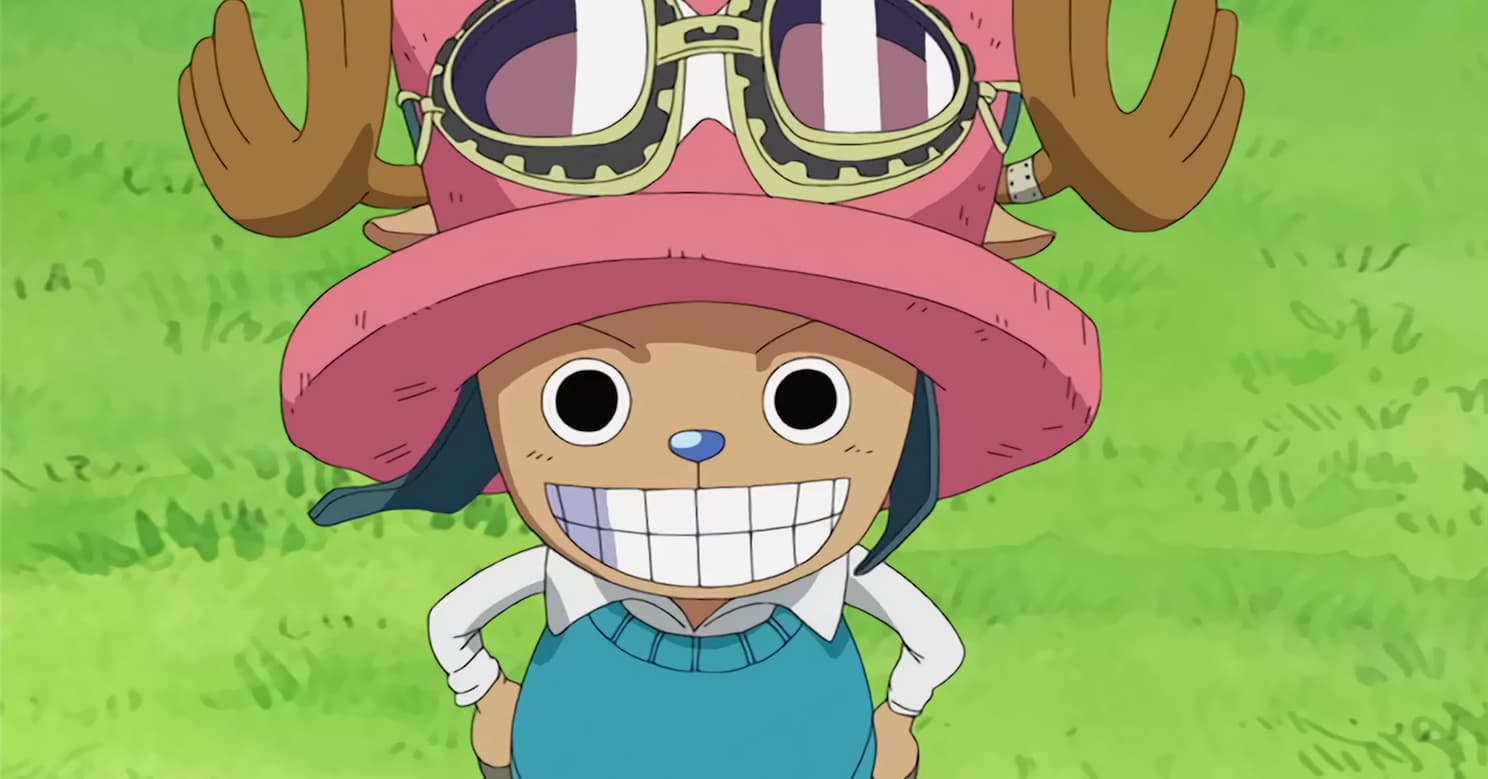 15 Things You Didn T Know About Tony Chopper